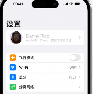 青岛appleID维修服务iPhone设置中Apple ID显示为灰色无法使用