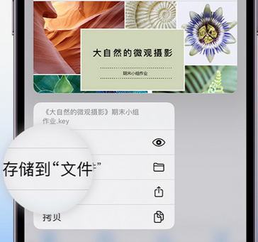 青岛apple维修中心分享iPhone文件应用中存储和找到下载文件