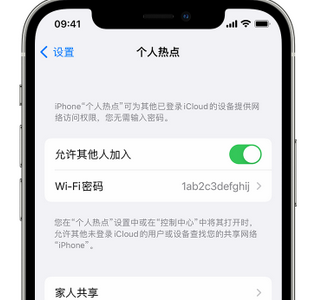 青岛apple服务站点分享iPhone上个人热点丢失了怎么办 