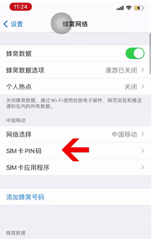 青岛苹果14维修网分享如何给iPhone14的SIM卡设置密码 