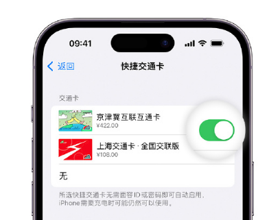 青岛apple维修点分享iPhone上更换Apple Pay快捷交通卡手绘卡面 