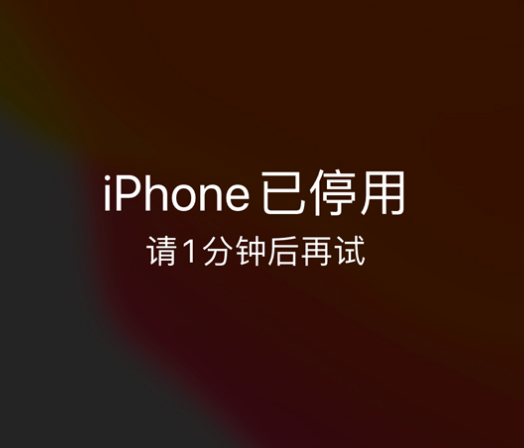 青岛苹果手机维修分享:iPhone 显示“不可用”或“已停用”怎么办？还能保留数据吗？ 