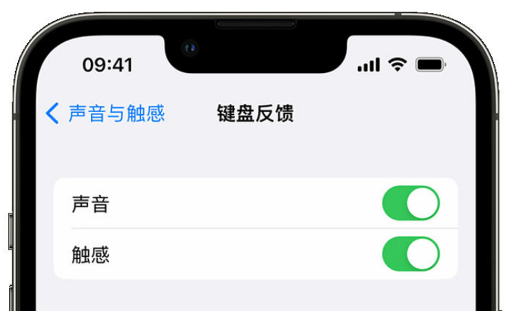 青岛苹果手机维修分享iPhone 14触感键盘使用方法 