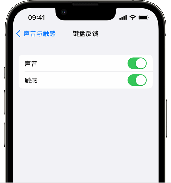 青岛苹果14维修店分享如何在 iPhone 14 机型中使用触感键盘 