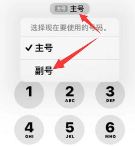 青岛苹果14维修店分享iPhone 14 Pro Max使用副卡打电话的方法 