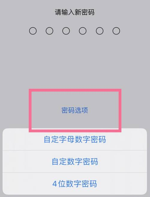 青岛苹果14维修分享iPhone 14plus设置密码的方法 