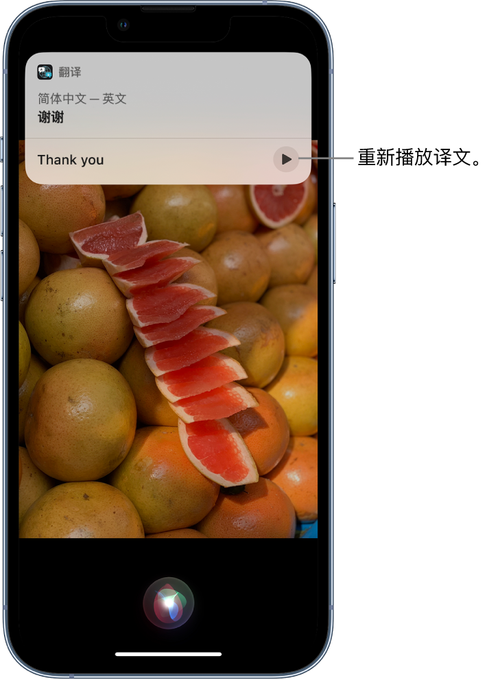 青岛苹果14维修分享 iPhone 14 机型中使用 Siri：了解 Siri 能帮你做什么 