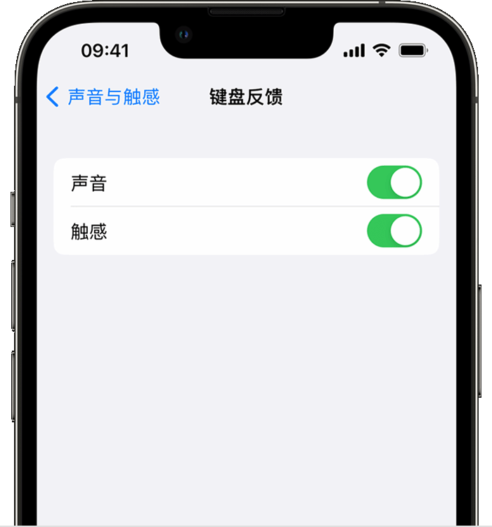青岛苹果14维修分享iPhone 14 系列机型如何开启键盘声音或触感反馈 