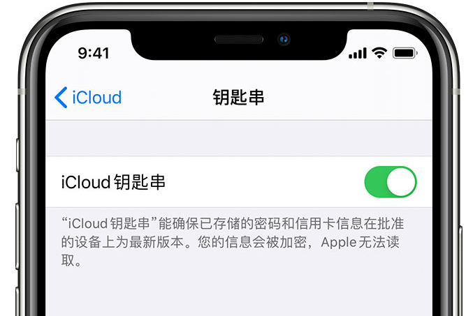 青岛苹果手机维修分享在 iPhone 上开启 iCloud 钥匙串之后会储存哪些信息 