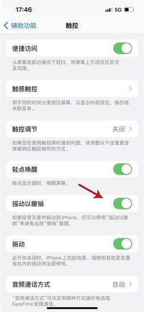 青岛苹果手机维修分享iPhone手机如何设置摇一摇删除文字 