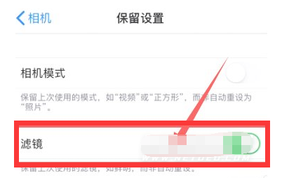 青岛苹果13维修分享iPhone13拍照有绿点是怎么回事 