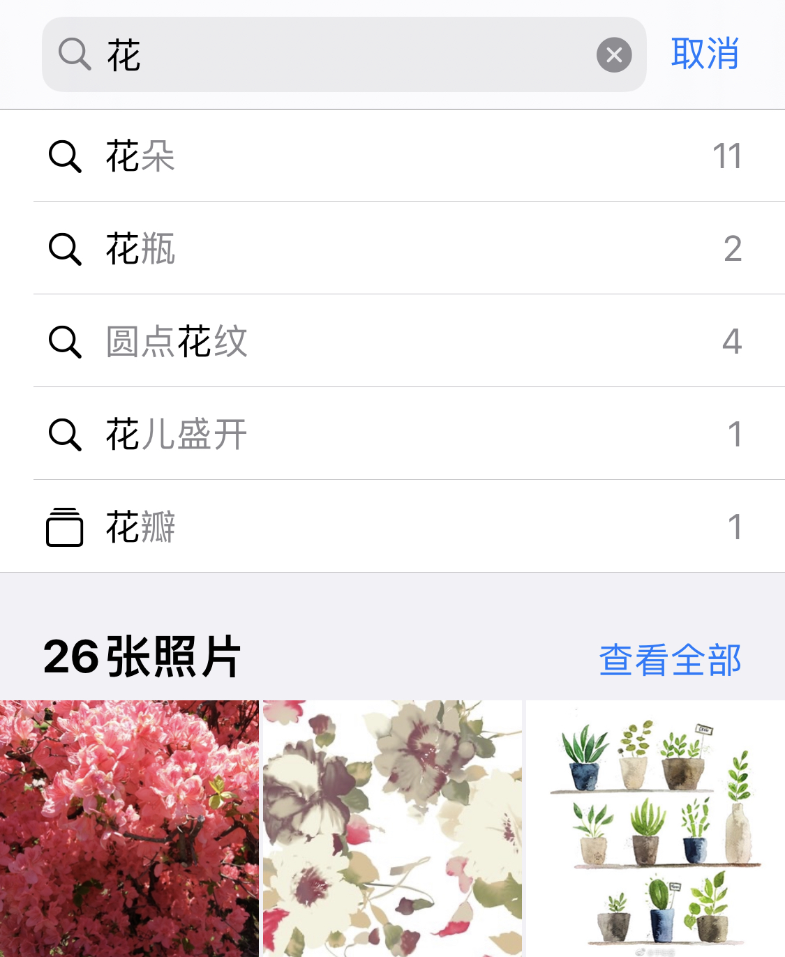 青岛苹果手机维修分享iPhone 小技巧 