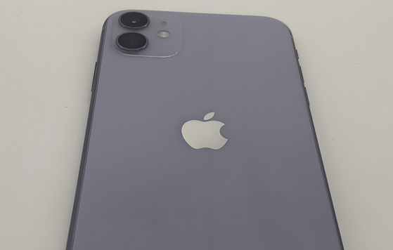青岛苹果11系统维修分享iPhone11手机系统崩溃无法开机如何解决 
